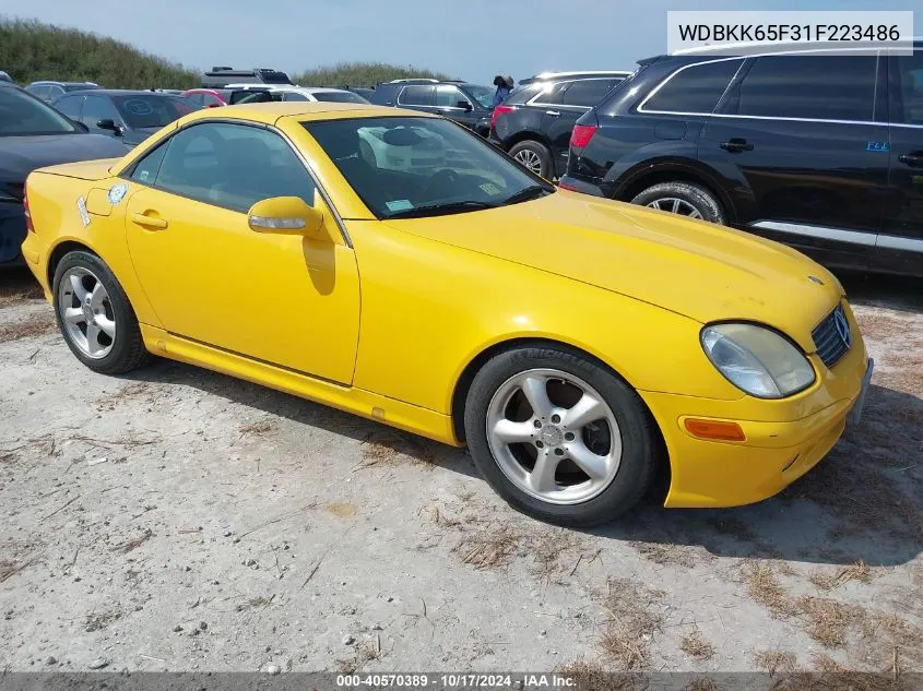 2001 Mercedes-Benz Slk 320 VIN: WDBKK65F31F223486 Lot: 40570389