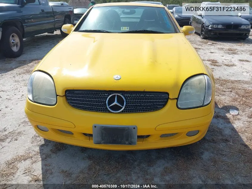 2001 Mercedes-Benz Slk 320 VIN: WDBKK65F31F223486 Lot: 40570389