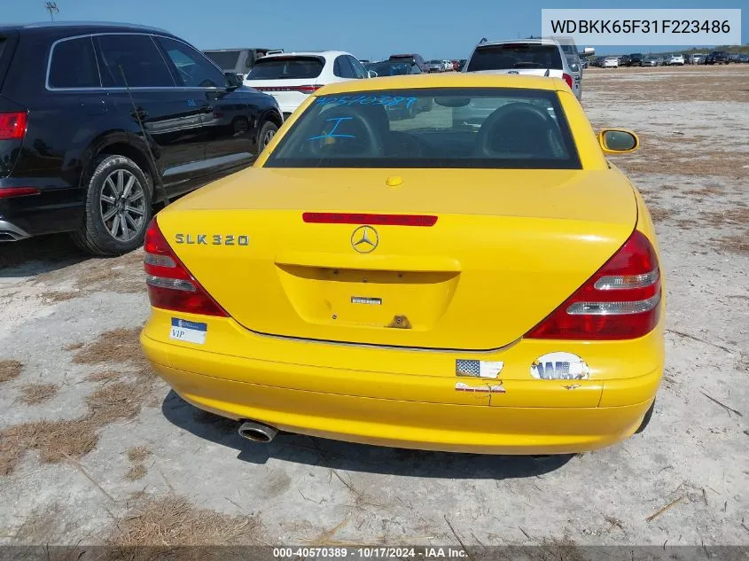 2001 Mercedes-Benz Slk 320 VIN: WDBKK65F31F223486 Lot: 40570389