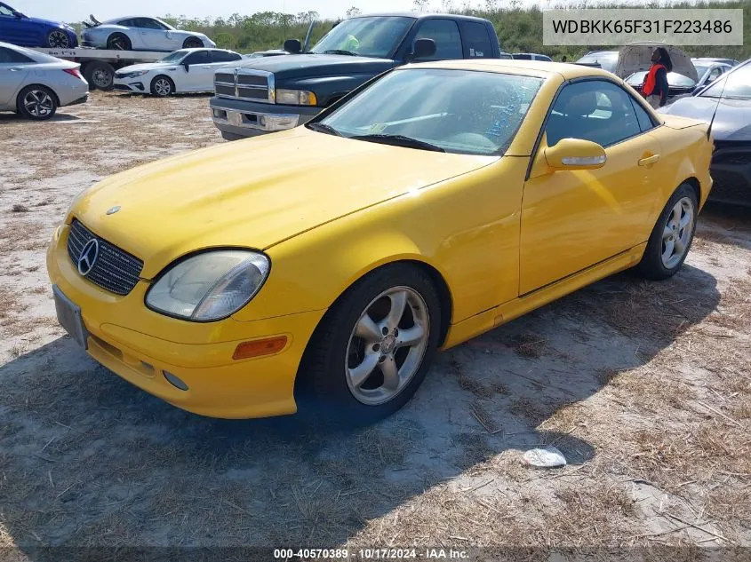 2001 Mercedes-Benz Slk 320 VIN: WDBKK65F31F223486 Lot: 40570389