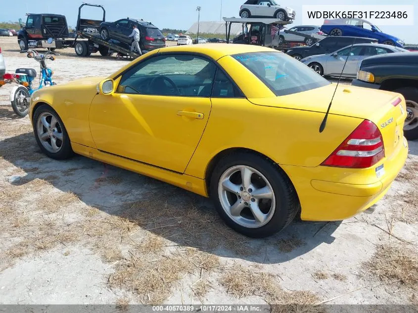 2001 Mercedes-Benz Slk 320 VIN: WDBKK65F31F223486 Lot: 40570389