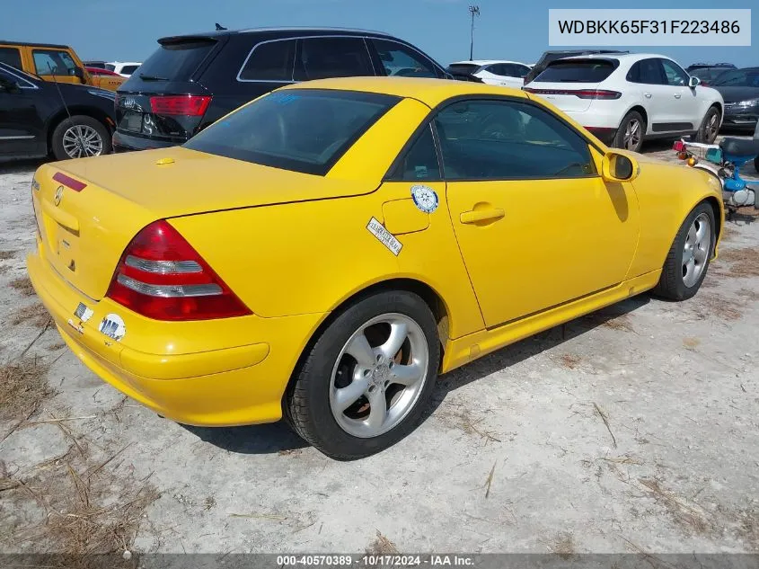 2001 Mercedes-Benz Slk 320 VIN: WDBKK65F31F223486 Lot: 40570389