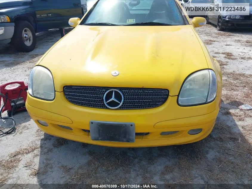 2001 Mercedes-Benz Slk 320 VIN: WDBKK65F31F223486 Lot: 40570389