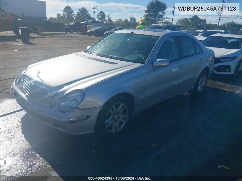 2005 Mercedes-Benz E 320 Cdi VIN: WDBUF26J45A731123 Lot: 40524395