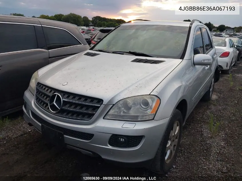 2006 Mercedes-Benz Ml 350 VIN: 4JGBB86E36A067193 Lot: 12085630