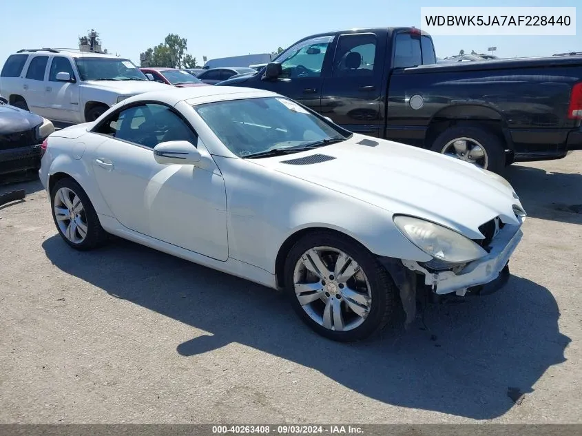 2010 Mercedes-Benz Slk 350 VIN: WDBWK5JA7AF228440 Lot: 40263408