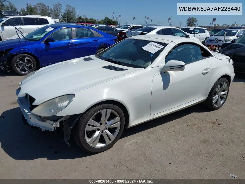 2010 Mercedes-Benz Slk 350 VIN: WDBWK5JA7AF228440 Lot: 40263408