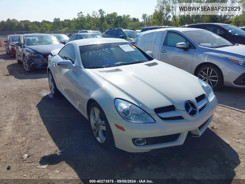 2010 Mercedes-Benz Slk 300 VIN: WDBWK5EA8AF232829 Lot: 40273575