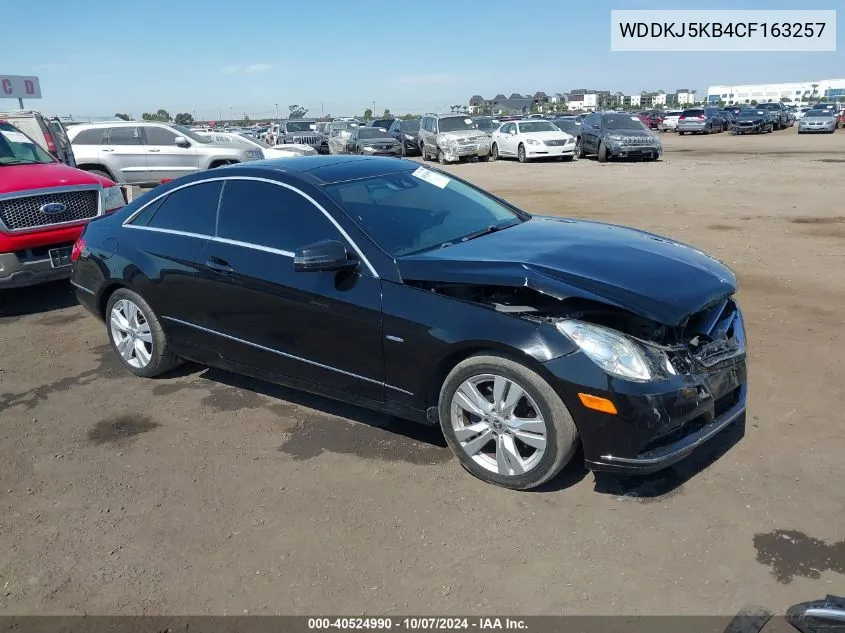 2012 Mercedes-Benz E 350 VIN: WDDKJ5KB4CF163257 Lot: 40524990