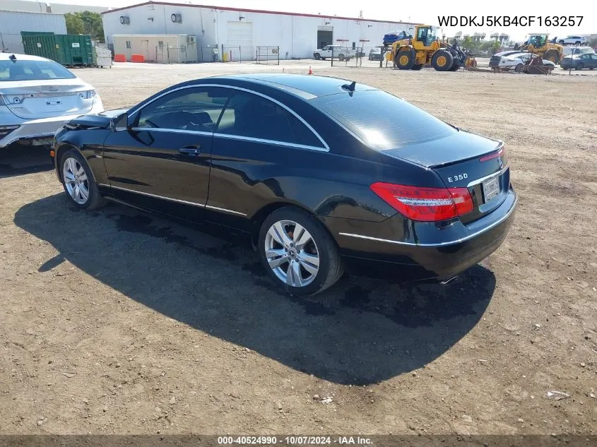 2012 Mercedes-Benz E 350 VIN: WDDKJ5KB4CF163257 Lot: 40524990