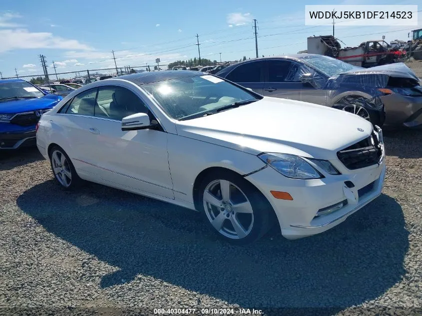 2013 Mercedes-Benz E 350 VIN: WDDKJ5KB1DF214523 Lot: 40304477