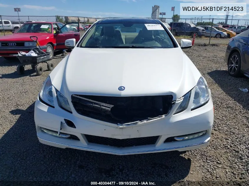 2013 Mercedes-Benz E 350 VIN: WDDKJ5KB1DF214523 Lot: 40304477