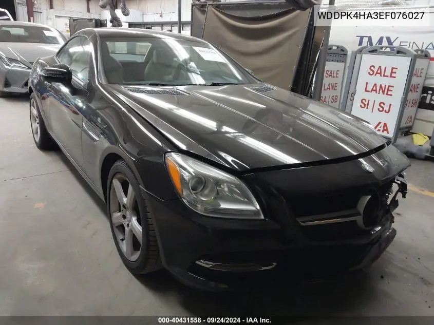 2014 Mercedes-Benz Slk 250 VIN: WDDPK4HA3EF076027 Lot: 40431558