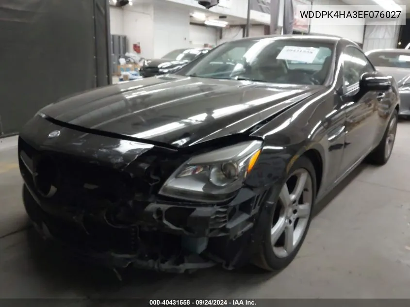 2014 Mercedes-Benz Slk 250 VIN: WDDPK4HA3EF076027 Lot: 40431558