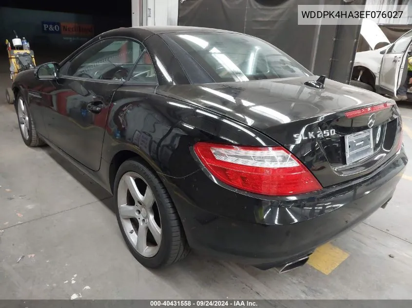 2014 Mercedes-Benz Slk 250 VIN: WDDPK4HA3EF076027 Lot: 40431558