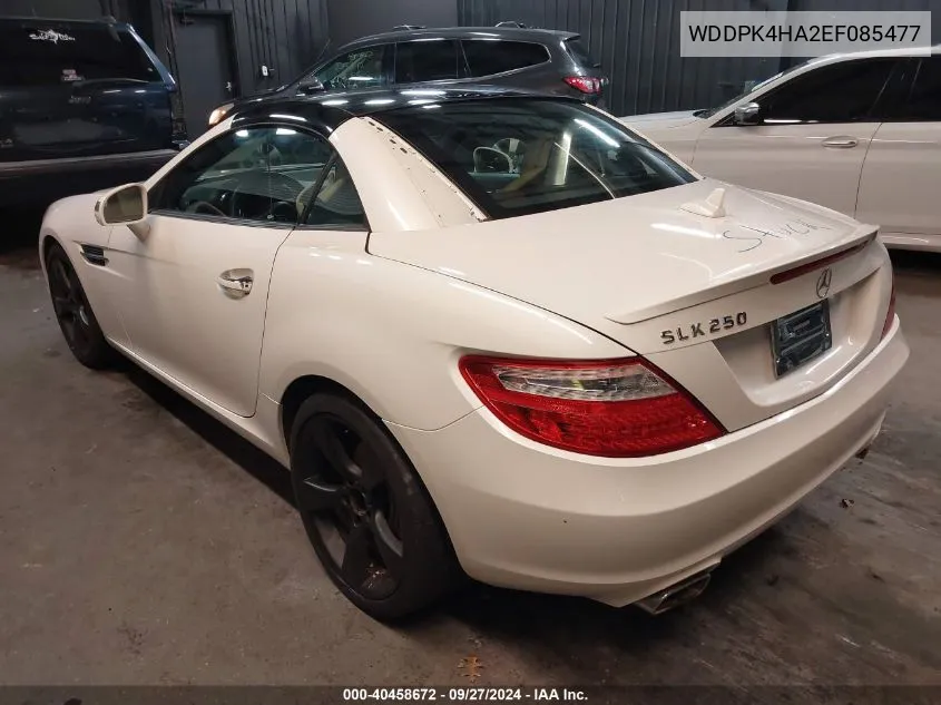 2014 Mercedes-Benz Slk 250 VIN: WDDPK4HA2EF085477 Lot: 40458672