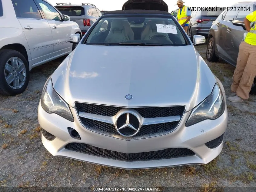 2014 Mercedes-Benz E 350 VIN: WDDKK5KFXEF237834 Lot: 40487212