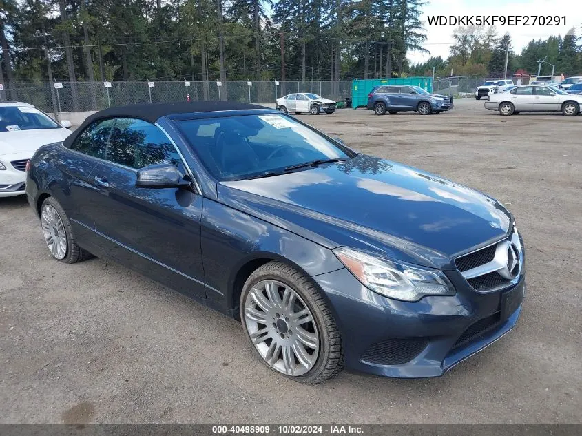 2014 Mercedes-Benz E 350 VIN: WDDKK5KF9EF270291 Lot: 40498909