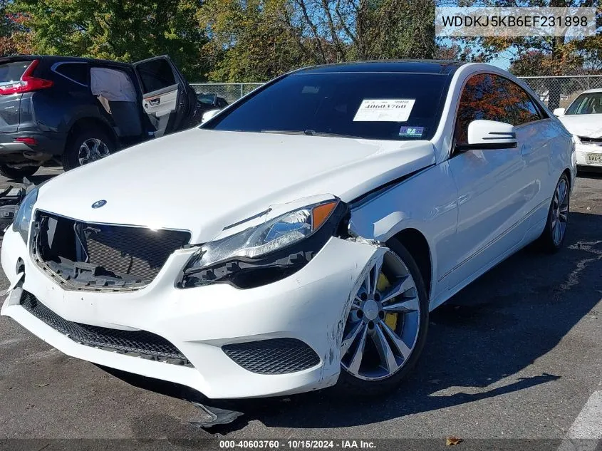 2014 Mercedes-Benz E 350 VIN: WDDKJ5KB6EF231898 Lot: 40603760