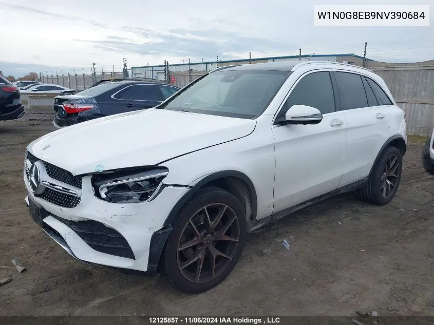 2022 Mercedes-Benz 300 VIN: W1N0G8EB9NV390684 Lot: 12125857