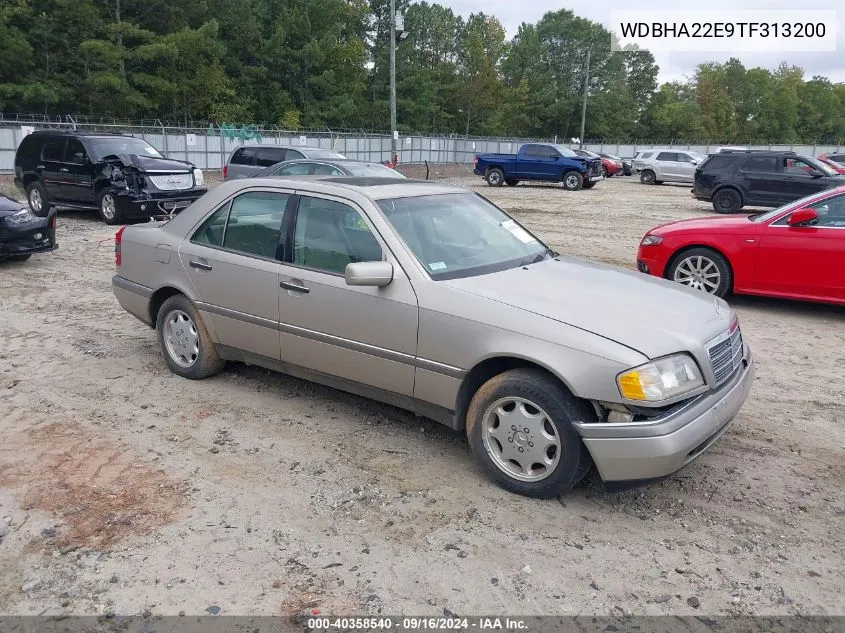 1996 Mercedes-Benz C 220 VIN: WDBHA22E9TF313200 Lot: 40358540