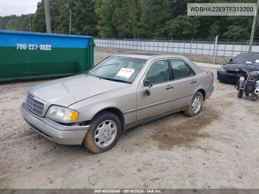 1996 Mercedes-Benz C 220 VIN: WDBHA22E9TF313200 Lot: 40358540