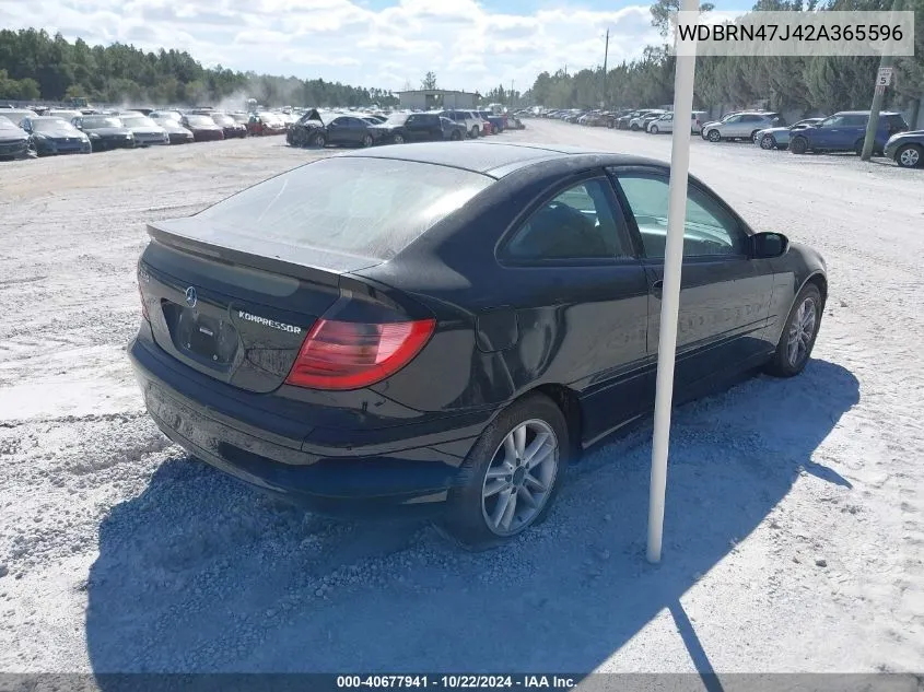 2002 Mercedes-Benz C 230 VIN: WDBRN47J42A365596 Lot: 40677941