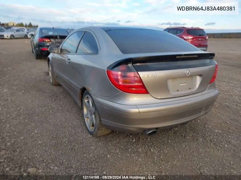 2003 Mercedes-Benz C-Class VIN: WDBRN64J83A480381 Lot: 12114188