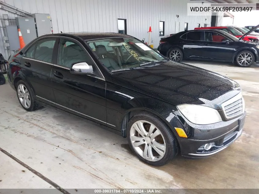 2009 Mercedes-Benz C 300 Luxury/Sport VIN: WDDGF54X59F203497 Lot: 39831784