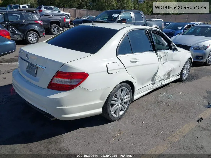 2009 Mercedes-Benz C 300 Luxury/Sport VIN: WDDGF54X59R064549 Lot: 40390614