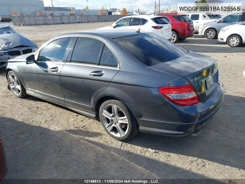 2011 Mercedes-Benz C-Class VIN: WDDGF8BB1BA525565 Lot: 12146612