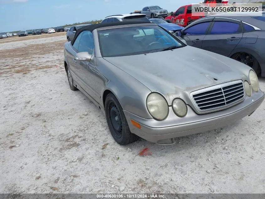 2003 Mercedes-Benz Clk 320 VIN: WDBLK65G63T129992 Lot: 40630106