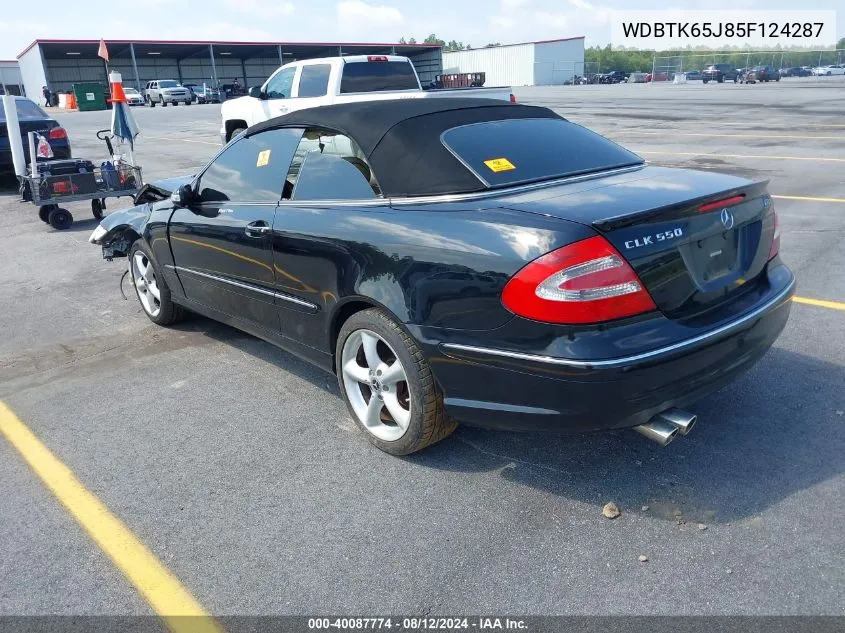 2005 Mercedes-Benz Clk 320 VIN: WDBTK65J85F124287 Lot: 40087774