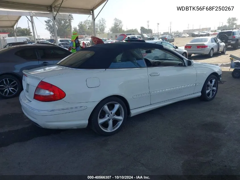 2008 Mercedes-Benz Clk 350 VIN: WDBTK56F68F250267 Lot: 40566307