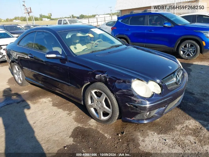 2009 Mercedes-Benz Clk 350 VIN: WDBTJ56H59F268250 Lot: 40551666