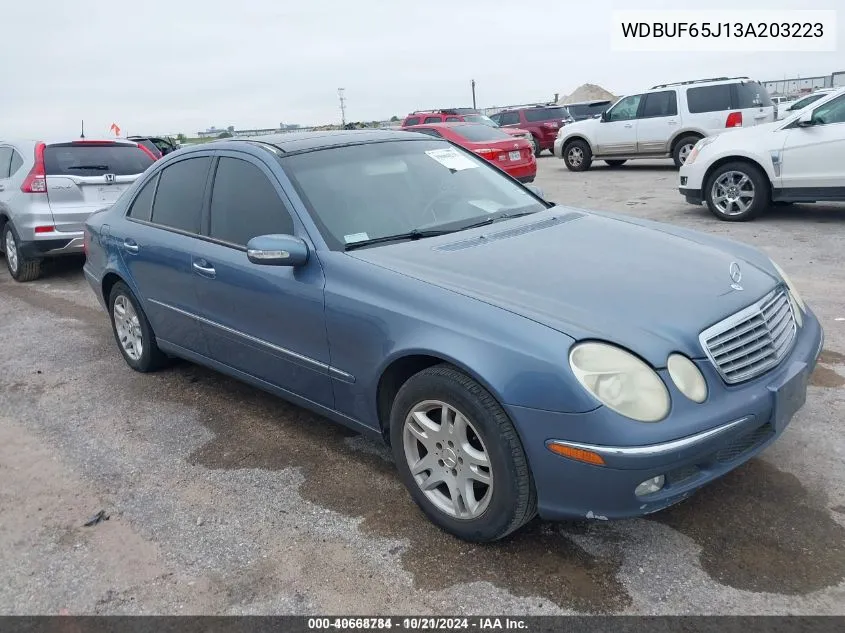 2003 Mercedes-Benz E 320 VIN: WDBUF65J13A203223 Lot: 40668784