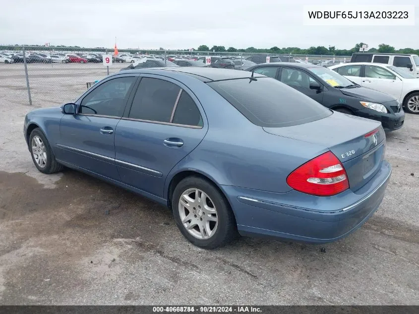 2003 Mercedes-Benz E 320 VIN: WDBUF65J13A203223 Lot: 40668784