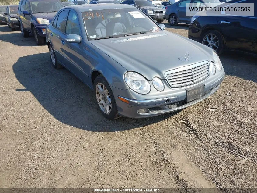 2005 Mercedes-Benz E 320 VIN: WDBUF65J85A662509 Lot: 40483441