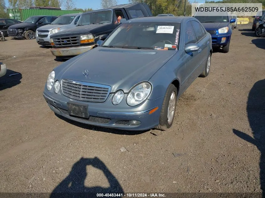 2005 Mercedes-Benz E 320 VIN: WDBUF65J85A662509 Lot: 40483441