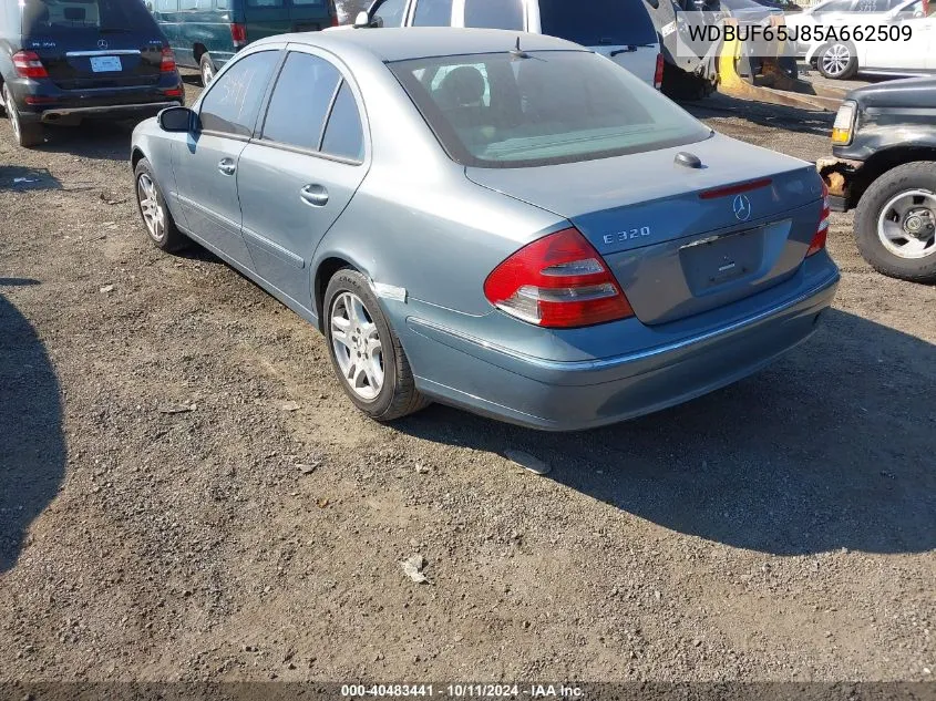 2005 Mercedes-Benz E 320 VIN: WDBUF65J85A662509 Lot: 40483441