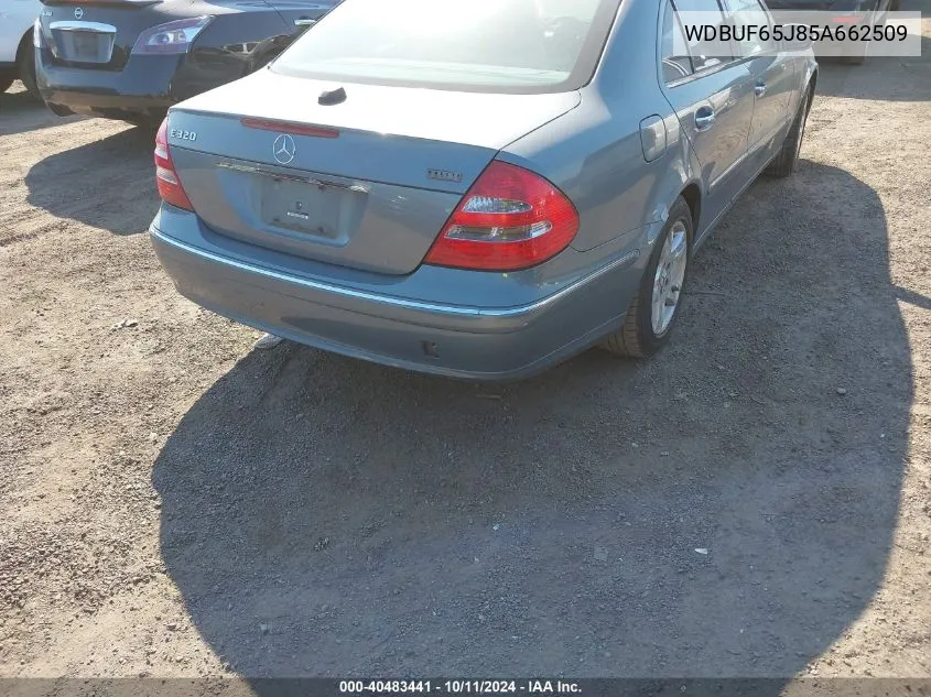 2005 Mercedes-Benz E 320 VIN: WDBUF65J85A662509 Lot: 40483441