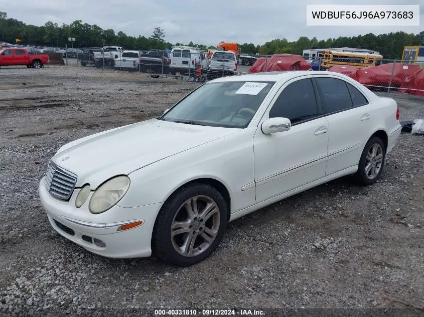 2006 Mercedes-Benz E 350 VIN: WDBUF56J96A973683 Lot: 40331810