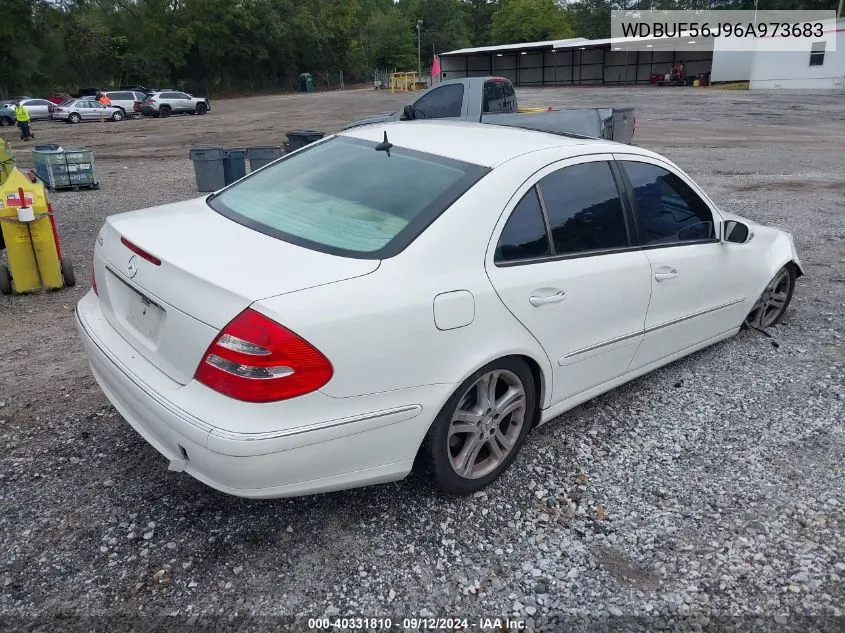 2006 Mercedes-Benz E 350 VIN: WDBUF56J96A973683 Lot: 40331810