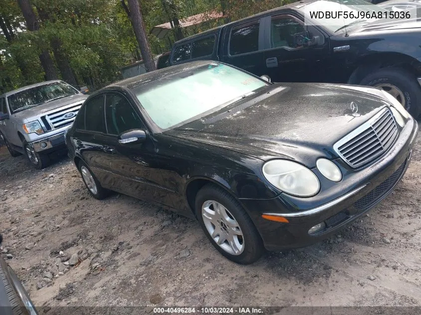 2006 Mercedes-Benz E 350 VIN: WDBUF56J96A815036 Lot: 40496284