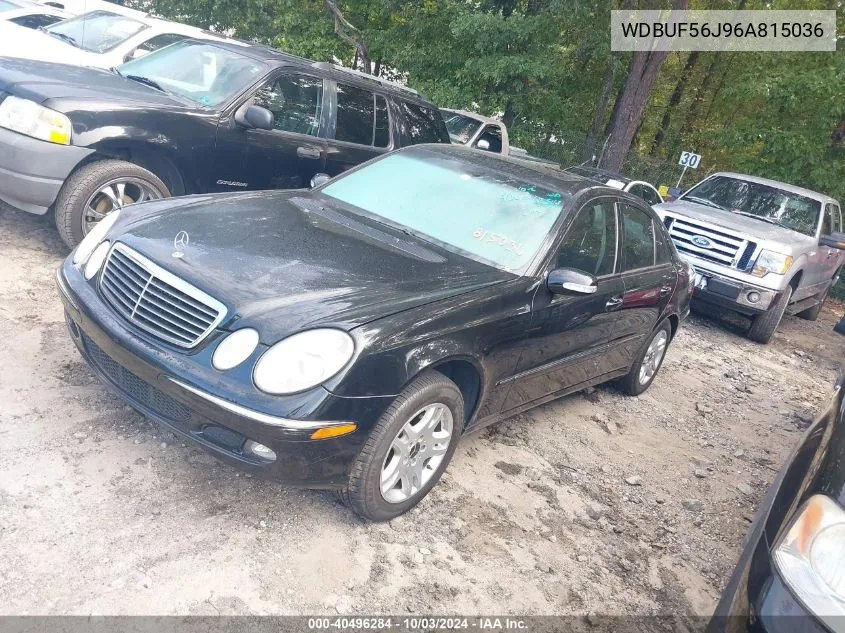 2006 Mercedes-Benz E 350 VIN: WDBUF56J96A815036 Lot: 40496284