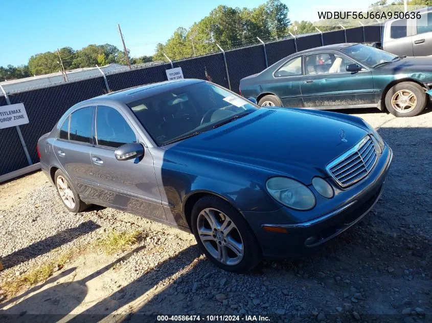 2006 Mercedes-Benz E 350 VIN: WDBUF56J66A950636 Lot: 40586474