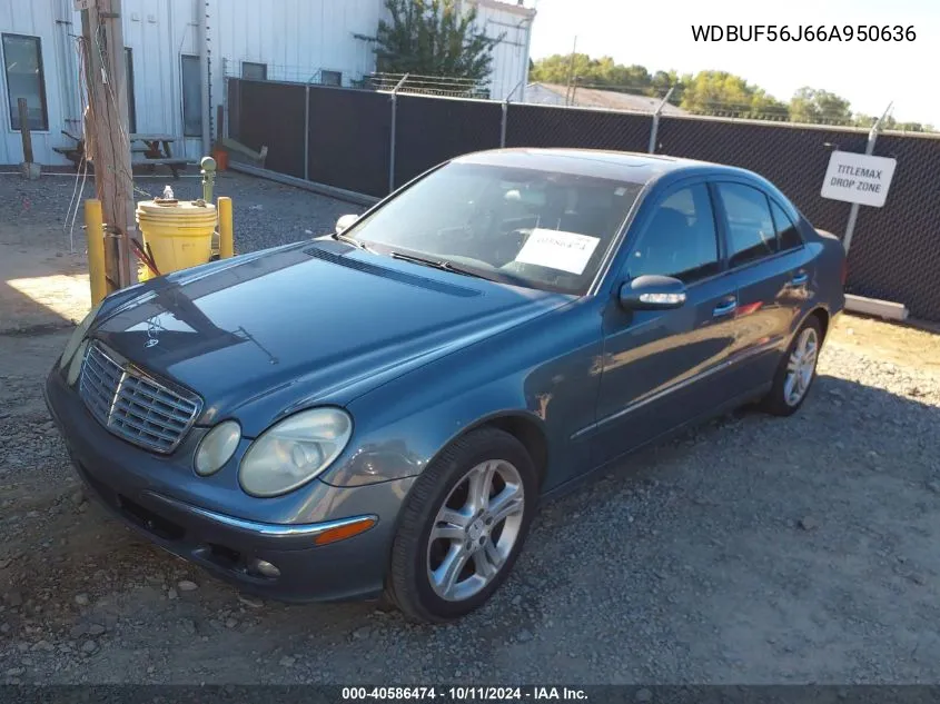 2006 Mercedes-Benz E 350 VIN: WDBUF56J66A950636 Lot: 40586474