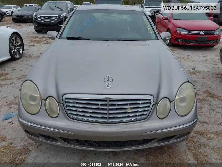 2006 Mercedes-Benz E 350 VIN: WDBUF56J16A795803 Lot: 40613021