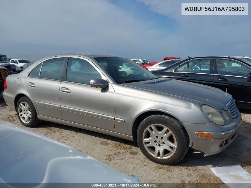 2006 Mercedes-Benz E 350 VIN: WDBUF56J16A795803 Lot: 40613021