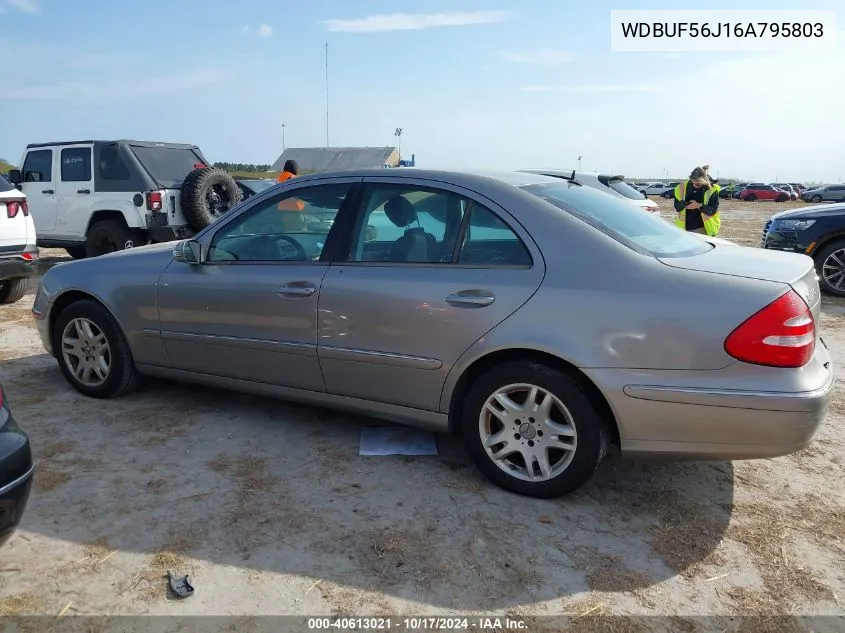 2006 Mercedes-Benz E 350 VIN: WDBUF56J16A795803 Lot: 40613021